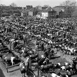 839462 Gezicht op de veemarkt te Purmerend.